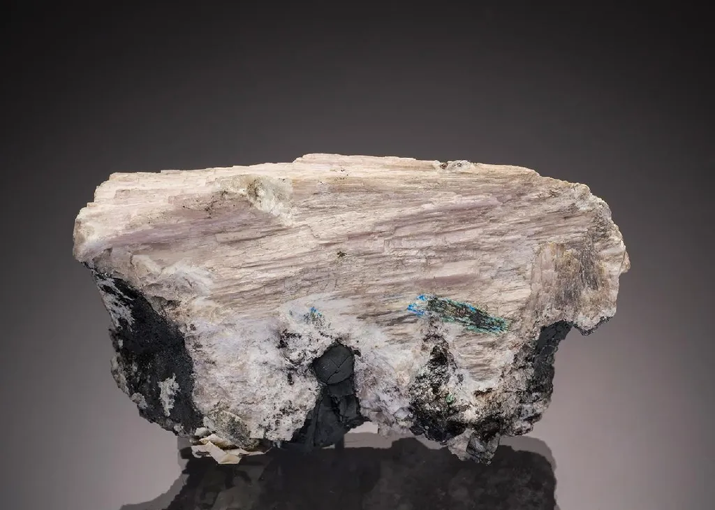 CHLOROXIPHITE with MENDIPITE Hydrocerussite and Diaboleite image