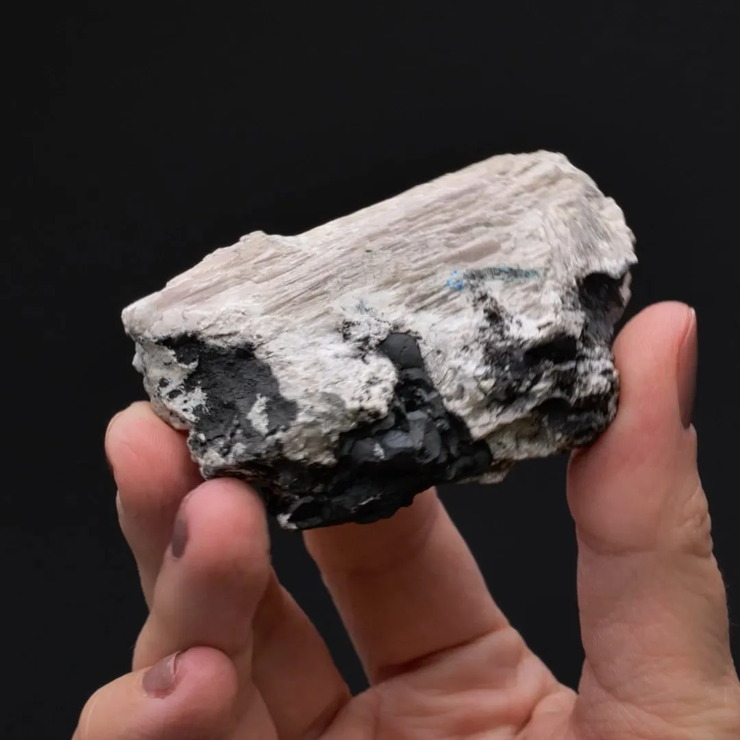 CHLOROXIPHITE with MENDIPITE Hydrocerussite and Diaboleite - image 2