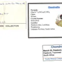Chondrodite - image 6