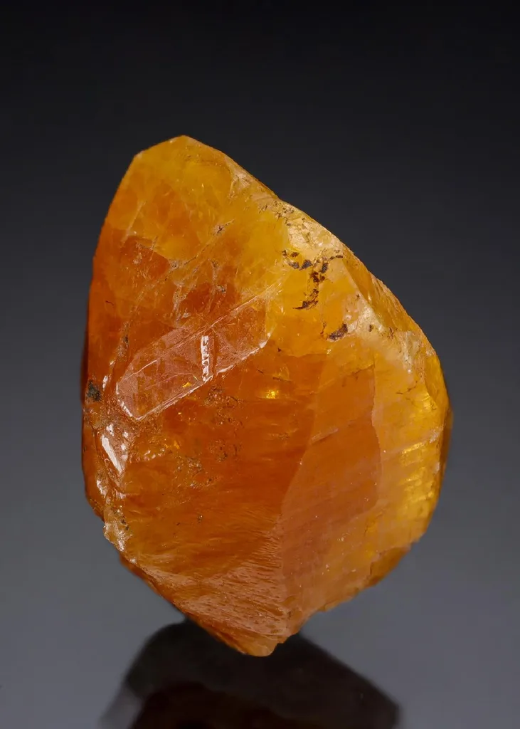 Chondrodite image