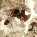Chondrodite - image 2