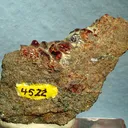 Chondrodite - image 1