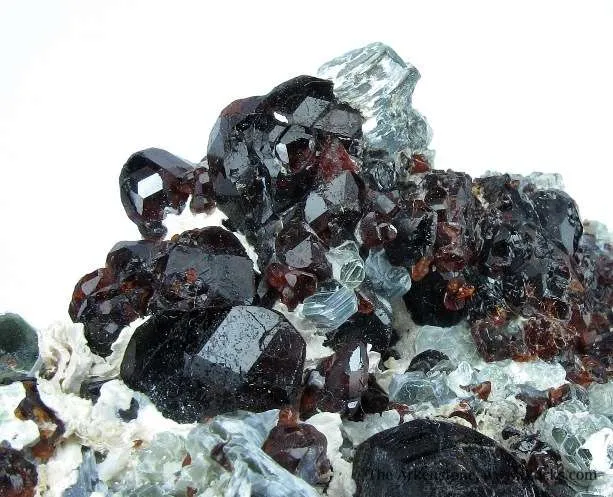 Chondrodite and Clinochlore image