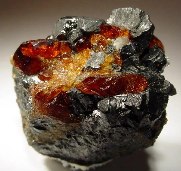 Chondrodite, Magnetite image