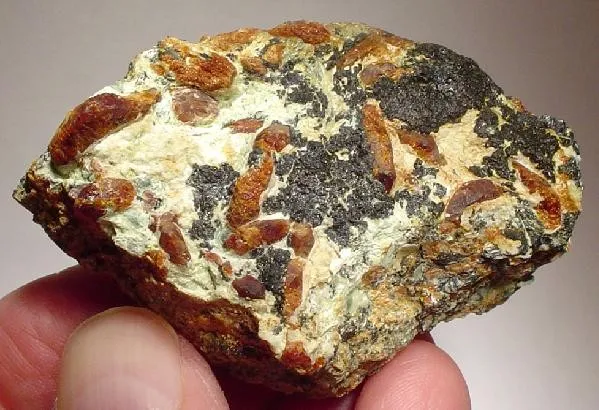 Chondrodite, Magnetite image