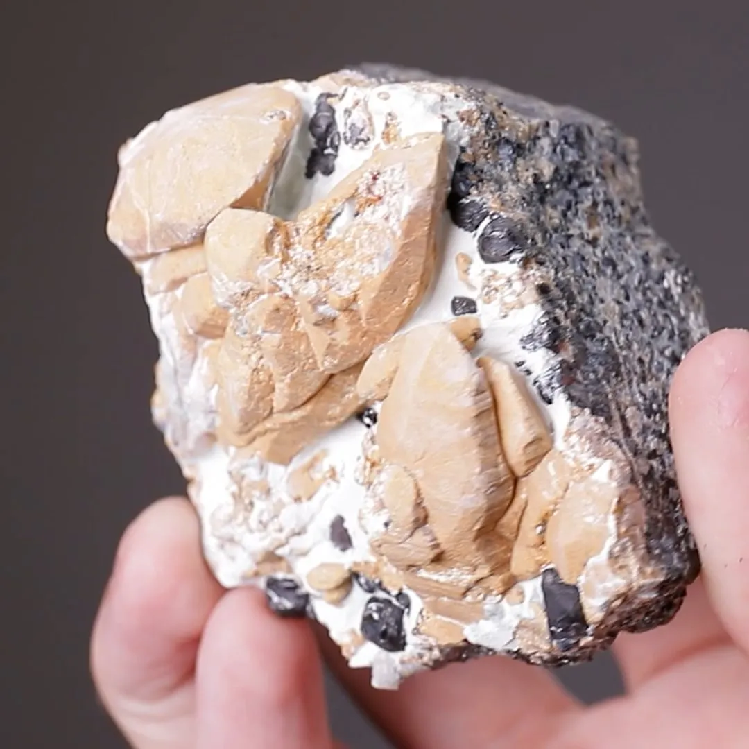 Chondrodite with Magnetite - image 2