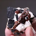 Chondrodite with Spinel - image 1