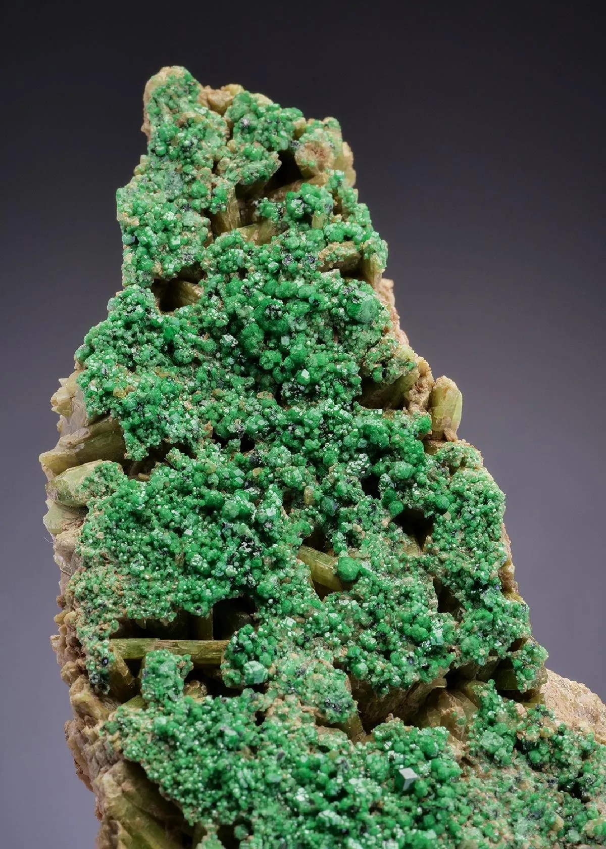 Chrome-Bearing GROSSULAR DIOPSIDE - image 1