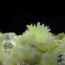 Chrome Cerussite and Dundasite - image 2