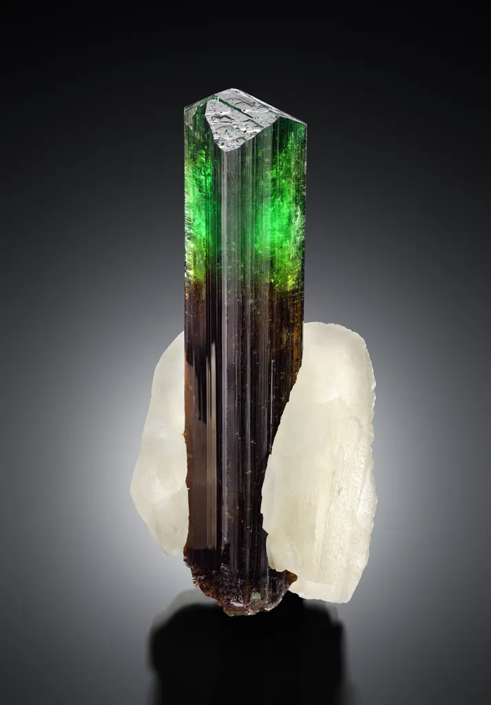 Chrome Dravite from Tanzania, Manyara Region, Nadonjukin, Commander Mine image