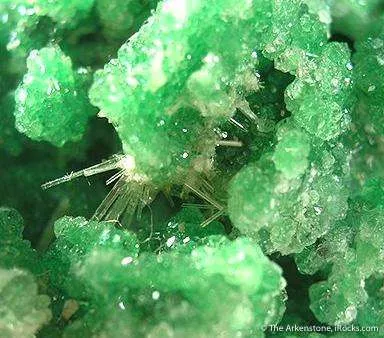 Chrome Grossular Garnet With Diopside - image 2