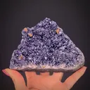 Chromian Amesite with Perovskite - image 1