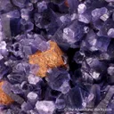 Chromian Amesite with Perovskite - image 3