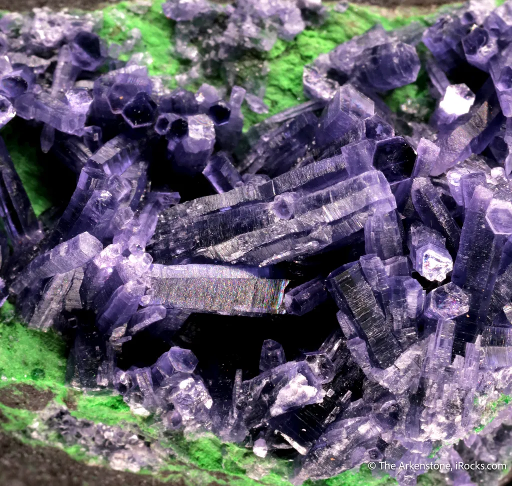 Chromian Amesite with Uvarovite image