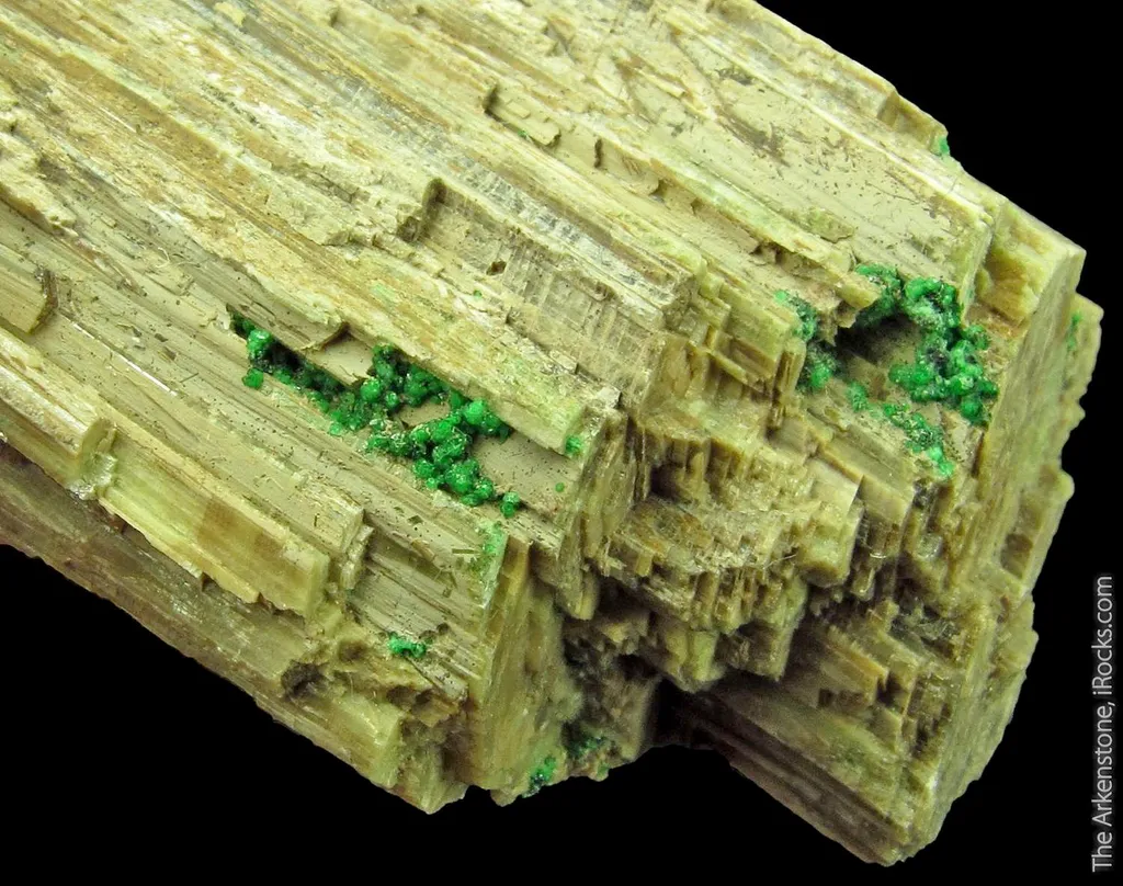 Chromian Grossular Garnet on Diopside - image 3