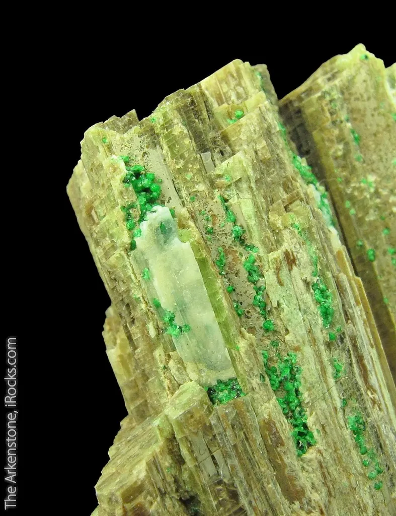 Chromian Grossular Garnet on Diopside - image 4