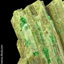 Chromian Grossular Garnet on Diopside - image 4
