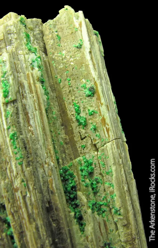 Chromian Grossular Garnet on Diopside image