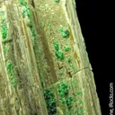 Chromian Grossular Garnet on Diopside - image 1