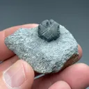 Chrysoberyl - image 2