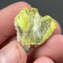 Chrysoberyl from Ingrid mine - image 2