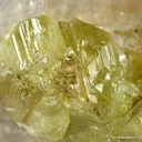 Chrysoberyl on Quartz - image 2