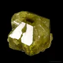 Chrysoberyl (sixling twin circa 1940s) - image 4