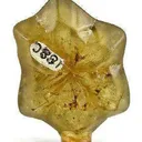Chrysoberyl (Twinned) - image 2