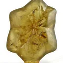 Chrysoberyl (Twinned) - image 1