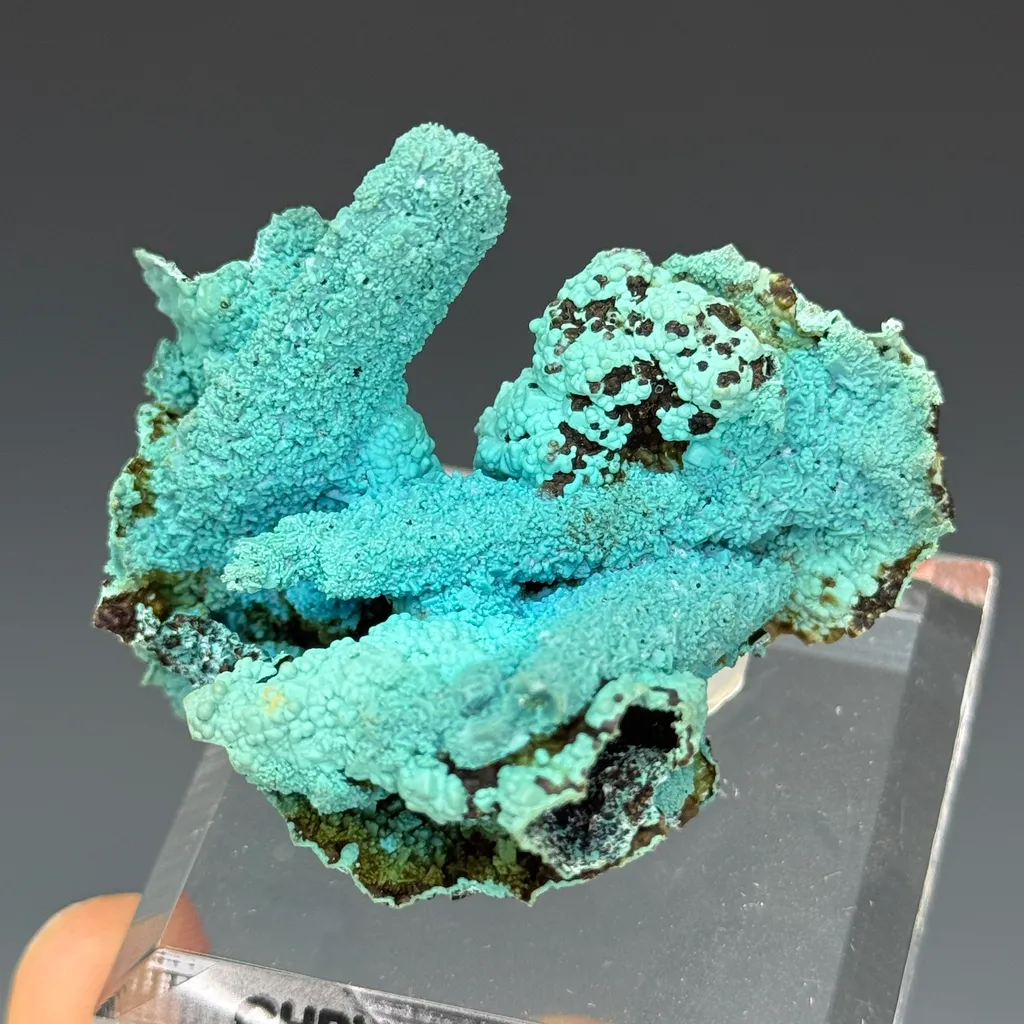 Chrysocolla image