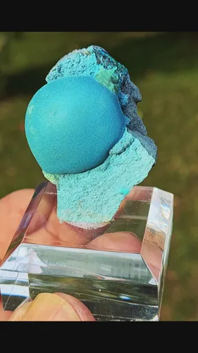 specimen video