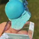 specimen video