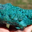 Chrysocolla 770 grams - Star Mine, Katanga, Congo - image 1