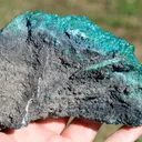 Chrysocolla 770 grams - Star Mine, Katanga, Congo - image 6