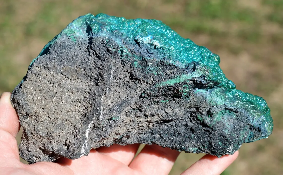 Chrysocolla 770 grams - Star Mine, Katanga, Congo - image 6