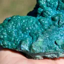 Chrysocolla 770 grams - Star Mine, Katanga, Congo - image 3