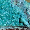 Chrysocolla 770 grams - Star Mine, Katanga, Congo - image 4