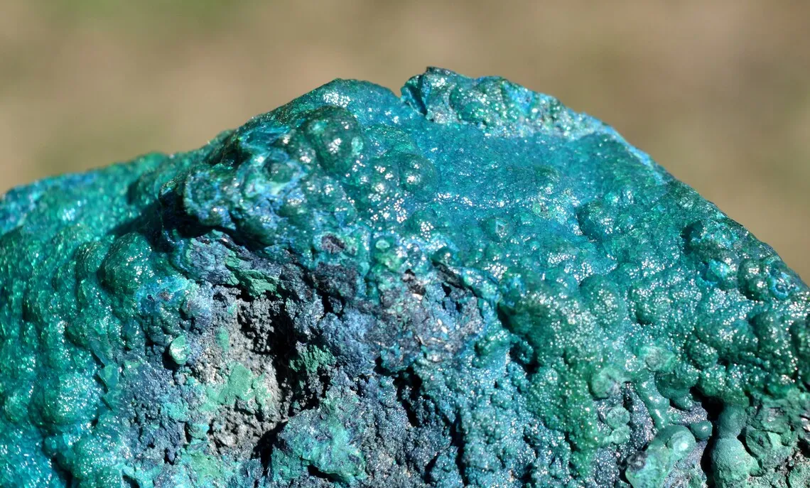 Chrysocolla 770 grams - Star Mine, Katanga, Congo - image 5