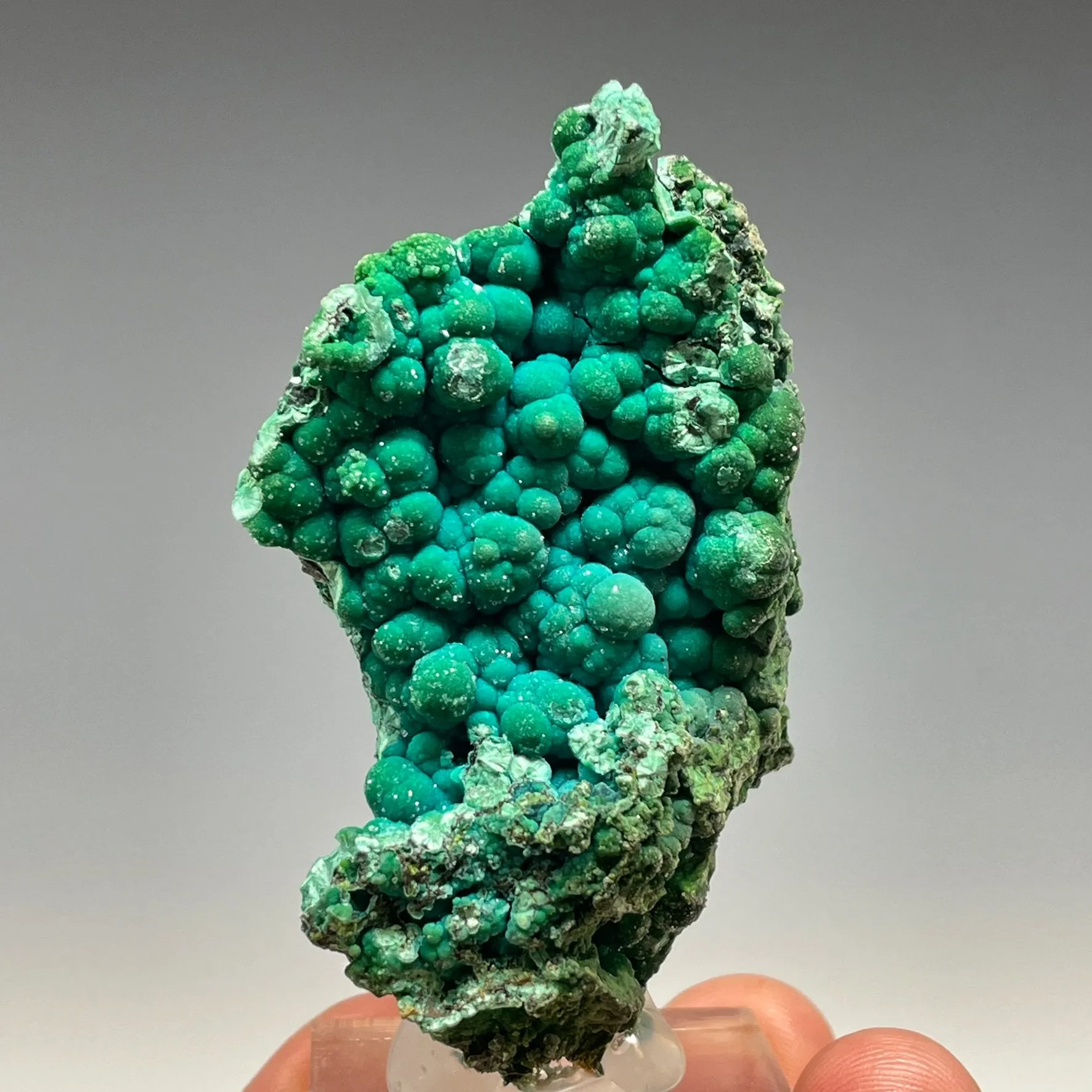 Chrysocolla - image 2