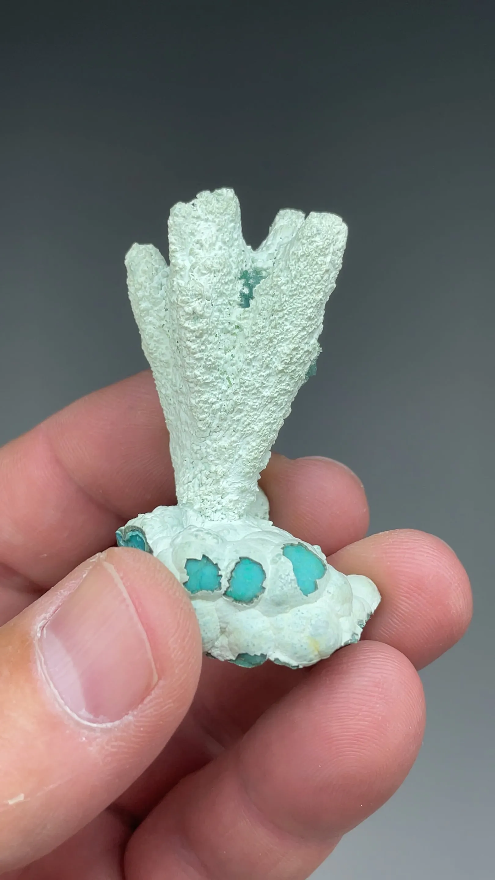 Chrysocolla after Azurite - image 2
