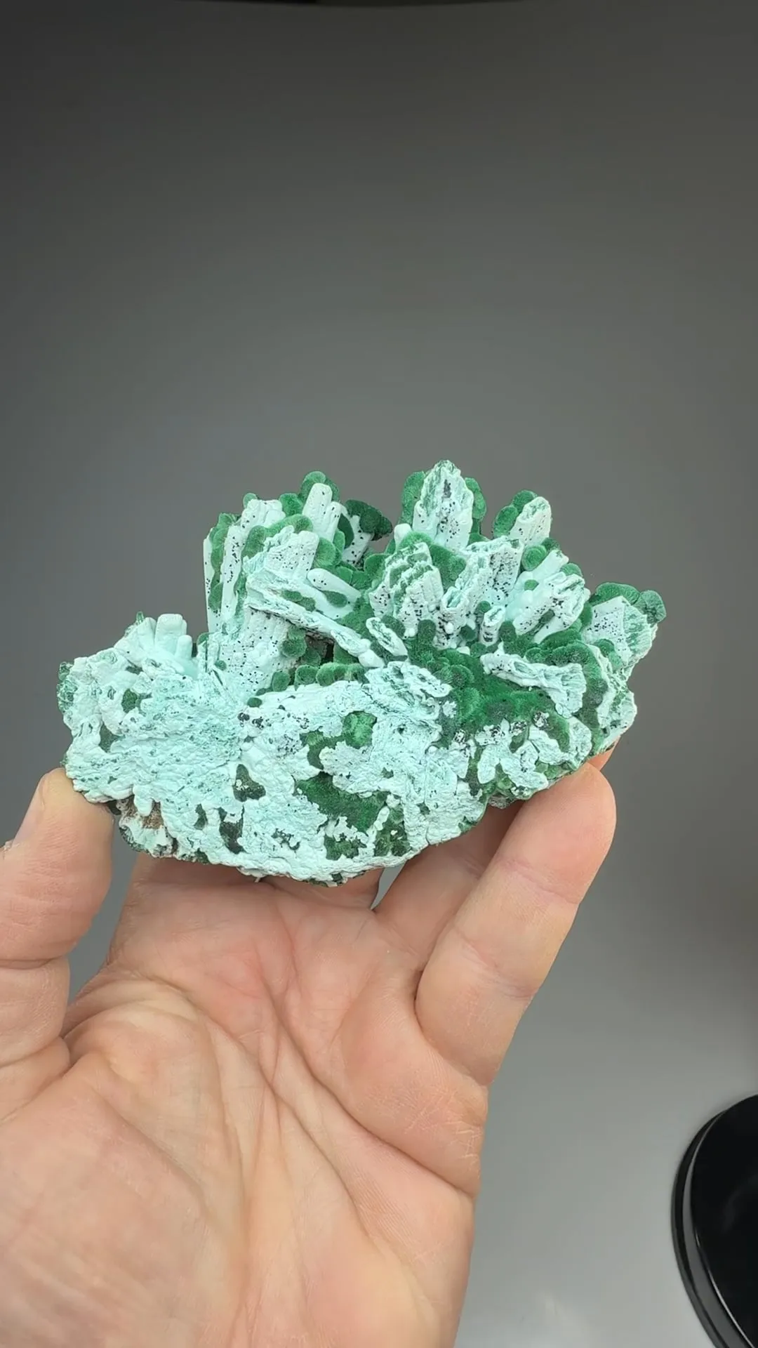Chrysocolla after Barite with Malachite - image 2