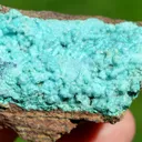 Chrysocolla after Malachite after Anhydrite & quartz - 156 grams - Tenke-Fungurume area, DR Congo - image 3
