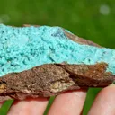 Chrysocolla after Malachite after Anhydrite & quartz - 156 grams - Tenke-Fungurume area, DR Congo - image 5