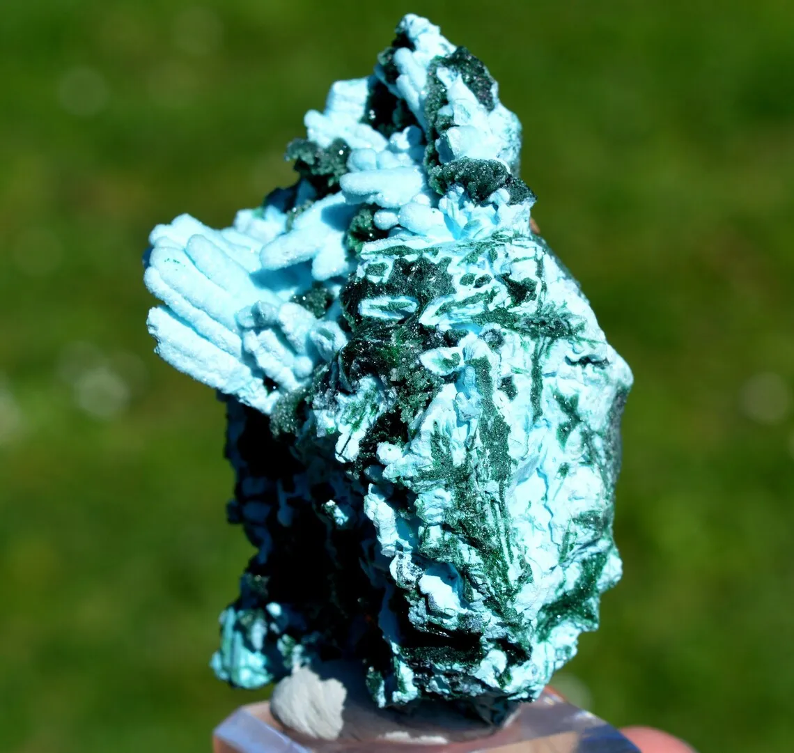Chrysocolla after Malachite after Anhydrite & quartz - 242 grams - Tenke-Fungurume area, DR Congo - image 3