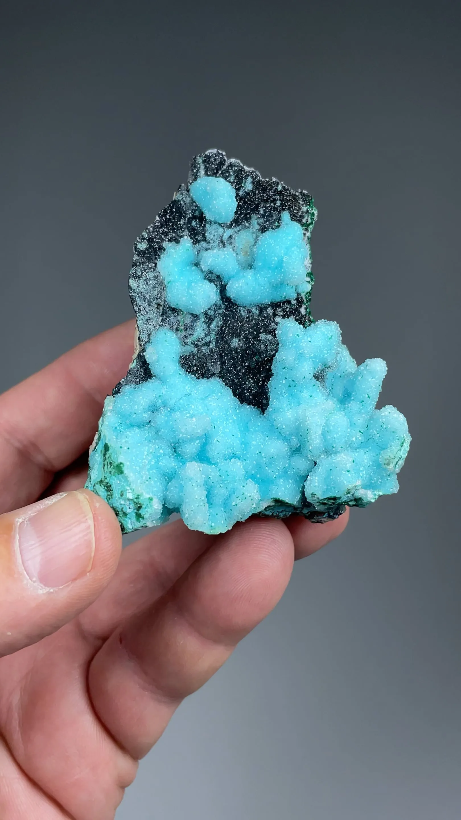 Chrysocolla after Malachite after Azurite with Quartz - image 2