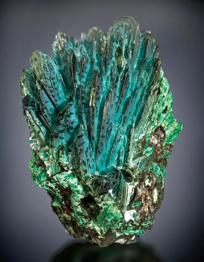 Chrysocolla, Azurite image