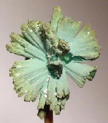 Chrysocolla, Azurite - image 2