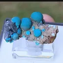 specimen video