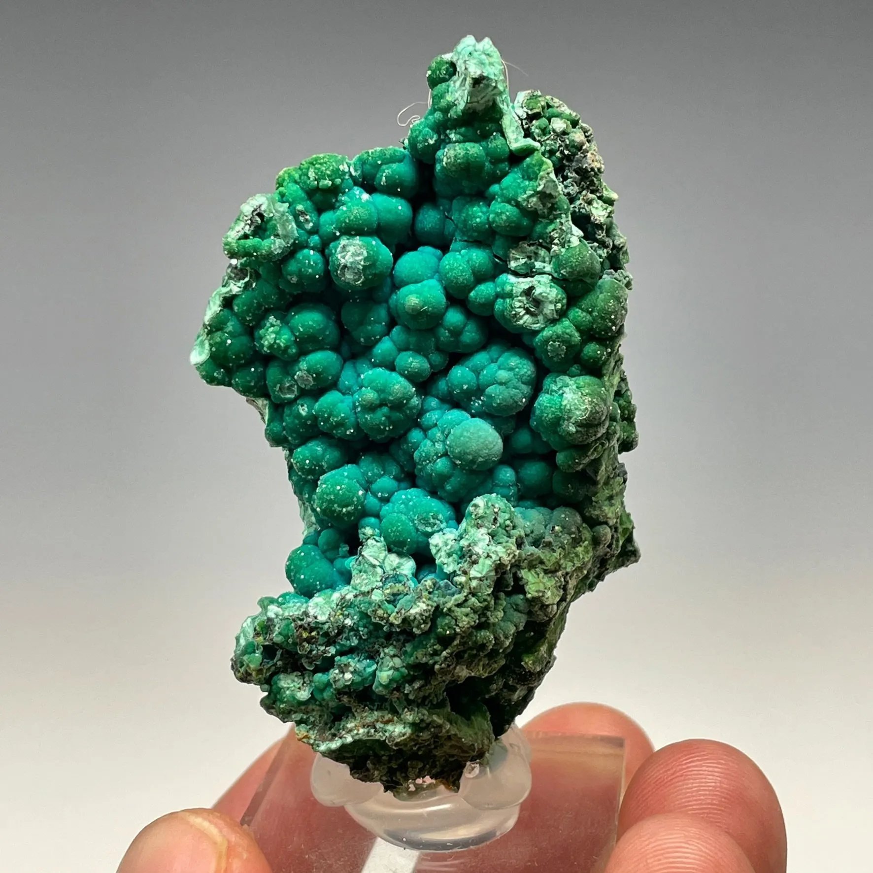 Chrysocolla - image 4