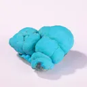 specimen video